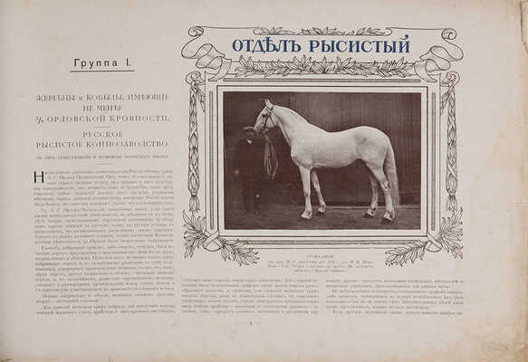 Альбом Всероссийской конской выставки в Москве 1910 г. ... С 232 автотип. в тексте. М.: Б. и., 1911.